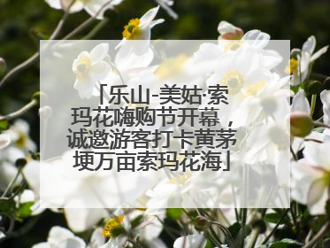 乐山-美姑·索玛花嗨购节开幕，诚邀游客打卡黄茅埂万亩索玛花海