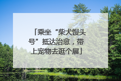 乘坐“柴犬馒头号”抵达治愈，带上宠物去逛个展