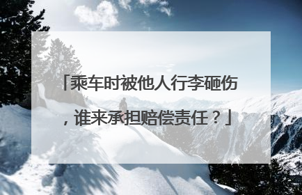 乘车时被他人行李砸伤，谁来承担赔偿责任？