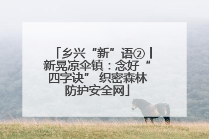 乡兴“新”语②丨新晃凉伞镇：念好“四字诀” 织密森林防护安全网
