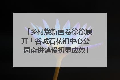 乡村焕新画卷徐徐展开！谷城石花镇中心公园奋进建设初显成效
