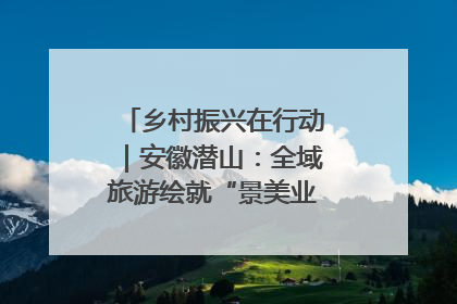 乡村振兴在行动｜安徽潜山：全域旅游绘就“景美业兴民富”新画卷