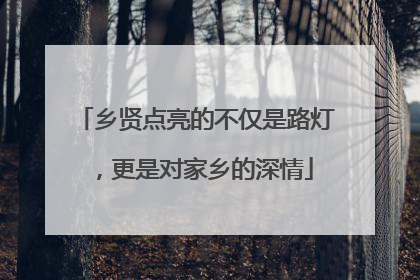 乡贤点亮的不仅是路灯，更是对家乡的深情