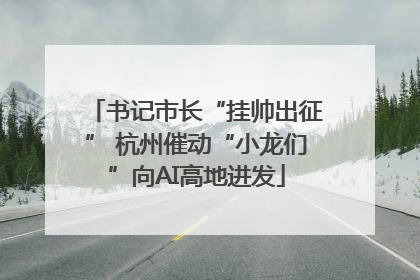 书记市长“挂帅出征” 杭州催动“小龙们”向AI高地进发