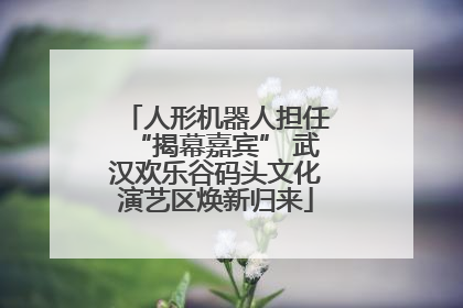 人形机器人担任“揭幕嘉宾” 武汉欢乐谷码头文化演艺区焕新归来