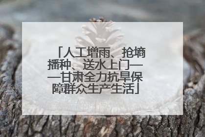 人工增雨、抢墒播种、送水上门——甘肃全力抗旱保障群众生产生活