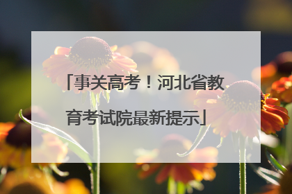 事关高考！河北省教育考试院最新提示