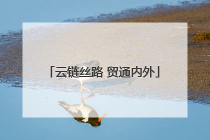 云链丝路 贸通内外