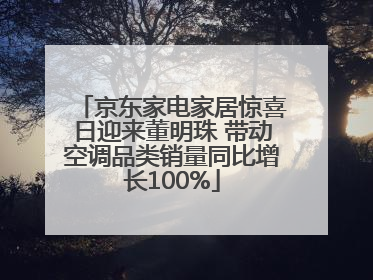 京东家电家居惊喜日迎来董明珠 带动空调品类销量同比增长100%