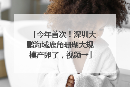 今年首次！深圳大鹏海域鹿角珊瑚大规模产卵了，视频→