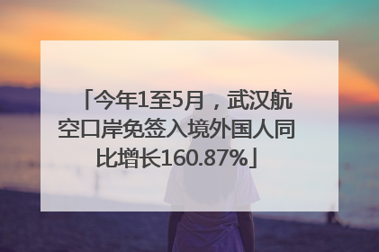 今年1至5月，武汉航空口岸免签入境外国人同比增长160.87%