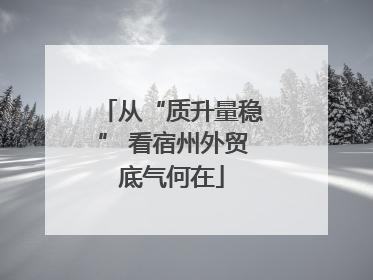 从“质升量稳” 看宿州外贸底气何在