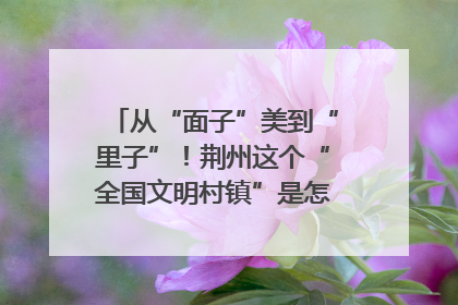 从“面子”美到“里子”！荆州这个“全国文明村镇”是怎样炼成的？