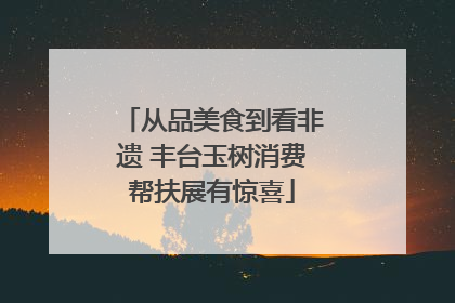 从品美食到看非遗 丰台玉树消费帮扶展有惊喜