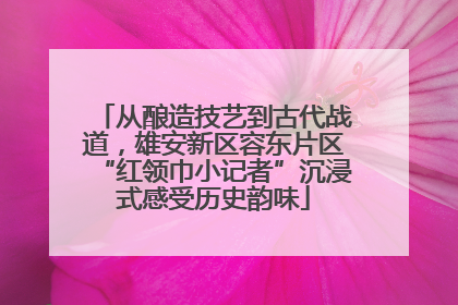 从酿造技艺到古代战道，雄安新区容东片区“红领巾小记者”沉浸式感受历史韵味