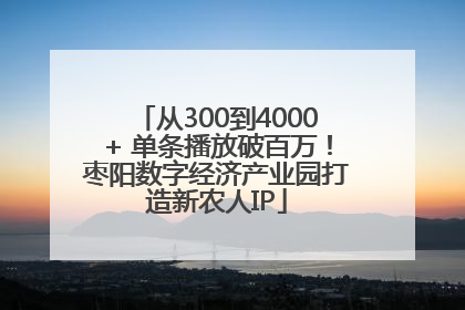 从300到4000+ 单条播放破百万！枣阳数字经济产业园打造新农人IP