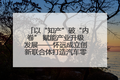以“知产”破“内卷” 赋能产业升级发展——怀远成立创新联合体打造汽车零部件产业新高地