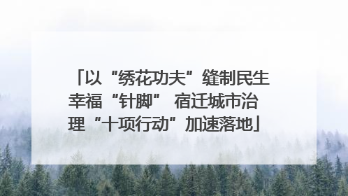 以“绣花功夫”缝制民生幸福“针脚” 宿迁城市治理“十项行动”加速落地