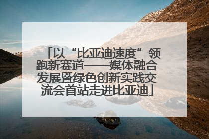 以“比亚迪速度”领跑新赛道——媒体融合发展暨绿色创新实践交流会首站走进比亚迪