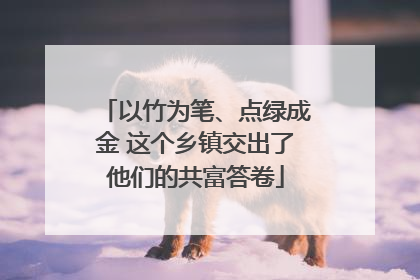 以竹为笔、点绿成金 这个乡镇交出了他们的共富答卷
