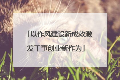 以作风建设新成效激发干事创业新作为