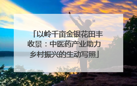 以岭千亩金银花田丰收景：中医药产业助力乡村振兴的生动写照