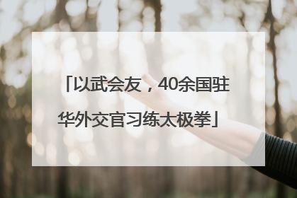 以武会友，40余国驻华外交官习练太极拳
