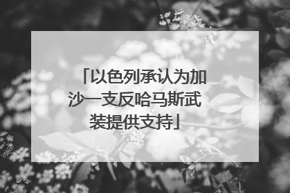 以色列承认为加沙一支反哈马斯武装提供支持