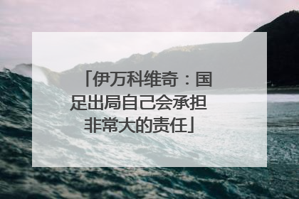 伊万科维奇：国足出局自己会承担非常大的责任