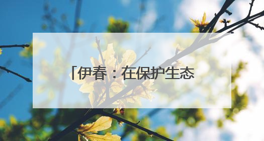 伊春：在保护生态中走向转型发展