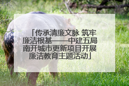 传承清廉文脉 筑牢廉洁根基——中建五局南开城市更新项目开展廉洁教育主题活动