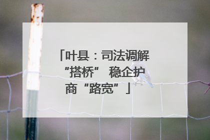 叶县：司法调解“搭桥” 稳企护商“路宽”