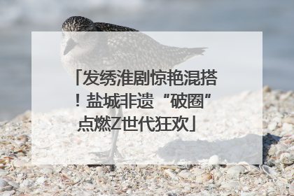 发绣淮剧惊艳混搭！盐城非遗“破圈”点燃Z世代狂欢