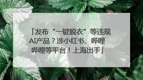 发布“一键脱衣”等违规AI产品？涉小红书、哔哩哔哩等平台！上海出手