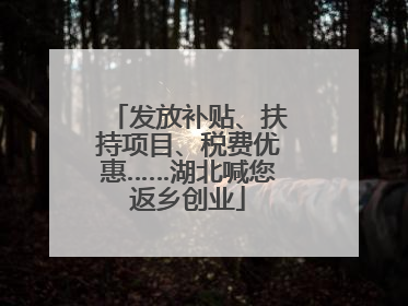 发放补贴、扶持项目、税费优惠……湖北喊您返乡创业