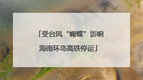 受台风“蝴蝶”影响 海南环岛高铁停运