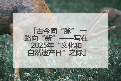 古今同“脉” 一路向“新”——写在2025年“文化和自然遗产日”之际