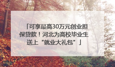 可享最高30万元创业担保贷款！河北为高校毕业生送上“就业大礼包”