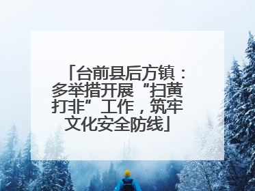 台前县后方镇：多举措开展“扫黄打非”工作，筑牢文化安全防线