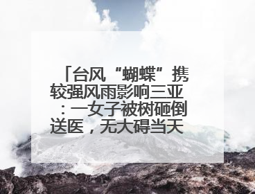 台风“蝴蝶”携较强风雨影响三亚：一女子被树砸倒送医，无大碍当天回家 当地已紧急清障