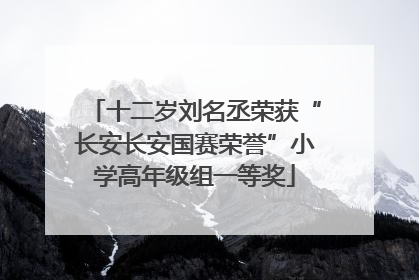 十二岁刘名丞荣获“长安长安国赛荣誉”小学高年级组一等奖