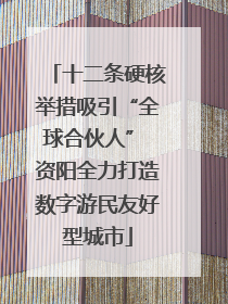 十二条硬核举措吸引“全球合伙人” 资阳全力打造数字游民友好型城市