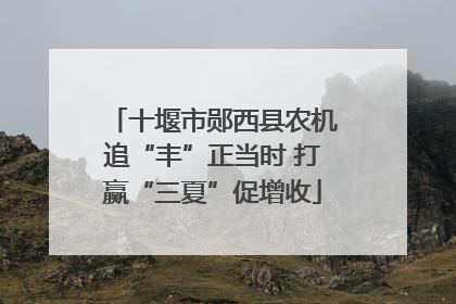 十堰市郧西县农机追“丰”正当时 打赢“三夏”促增收