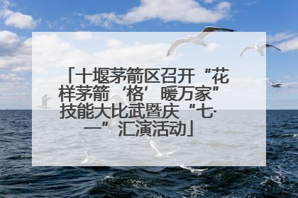 十堰茅箭区召开“花样茅箭‘格’暖万家”技能大比武暨庆“七·一”汇演活动