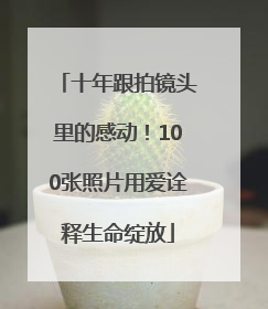 十年跟拍镜头里的感动！100张照片用爱诠释生命绽放