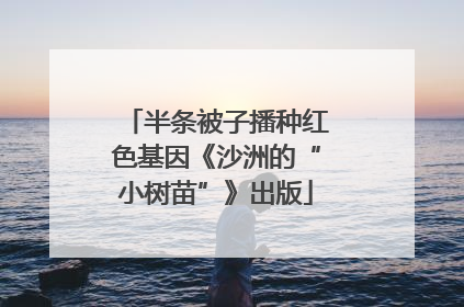 半条被子播种红色基因《沙洲的“小树苗”》出版