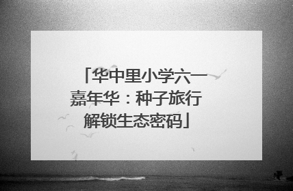 华中里小学六一嘉年华：种子旅行解锁生态密码