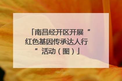 南昌经开区开展“红色基因传承达人行”活动（图）