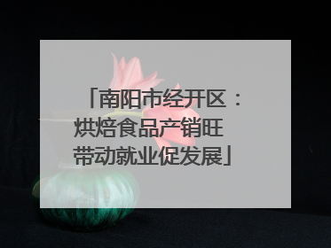 南阳市经开区：烘焙食品产销旺 带动就业促发展