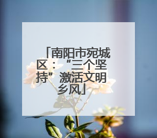 南阳市宛城区：“三个坚持”激活文明乡风